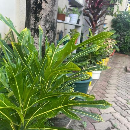 L&J Modern Backpackers Kinondoni Bed & Breakfast Dar es Salaam Exterior photo